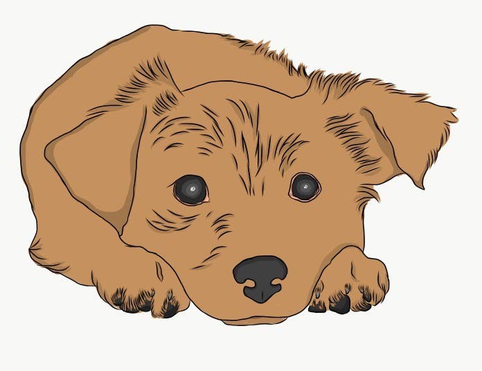 Contest Entry #11 for                                                 Draw a puppy
                                            