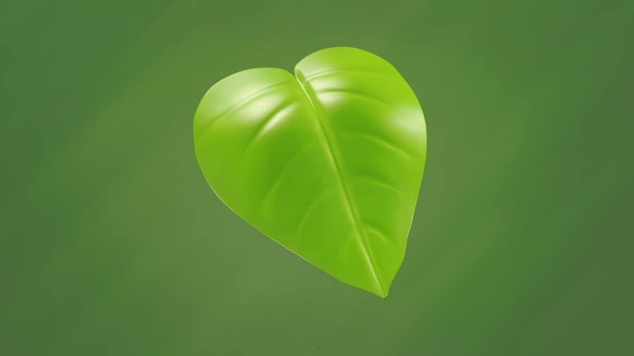 Příspěvek č. 15 do soutěže                                                 Create 3D image file of leaf attached (preferably PDF)
                                            