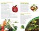 ภาพขนาดย่อของผลงานการประกวด #10 สำหรับ                                                     brochure design for organic vegetables and fruits
                                                
