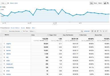 Our Client's Organic Traffic Report