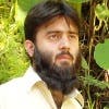 FaizAkbar's Profile Picture