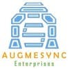 Immagine del profilo di augmesync