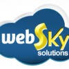WebSkySolutions's Profile Picture