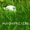 AudioUprising's Profile Picture
