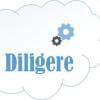 diligere2015's Profilbillede
