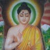 shikhashakya6406 adlı kullanıcının Profil Resmi