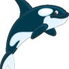 orca371