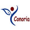 Gambar Profil Conoria