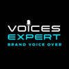 Käyttäjän voiceexpert2 profiilikuva