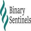 binarysentinels's Profilbillede