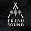  Profilbild von TribuSound