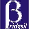 bridgsil's Profile Picture