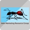 antsmarketing's Profile Picture