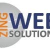 ZingWebSolutions的简历照片