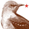 Foto de perfil de Websbird