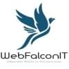 WebFalconIt的简历照片