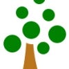 treeshore Profilképe