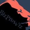  Profilbild von Bizprowiz