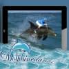 dolphinedanlu's Profilbillede
