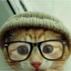 Photo de profil de smallkat