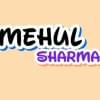 mehul0sharma's Profile Picture