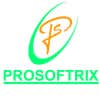 prosoftrix的简历照片